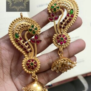 Rajwadi/Matte Polish Earring